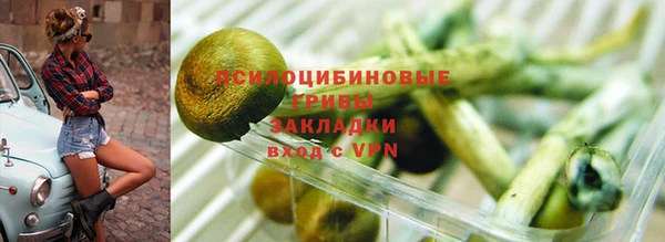 первитин Белоозёрский