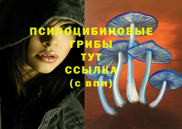 героин Белокуриха