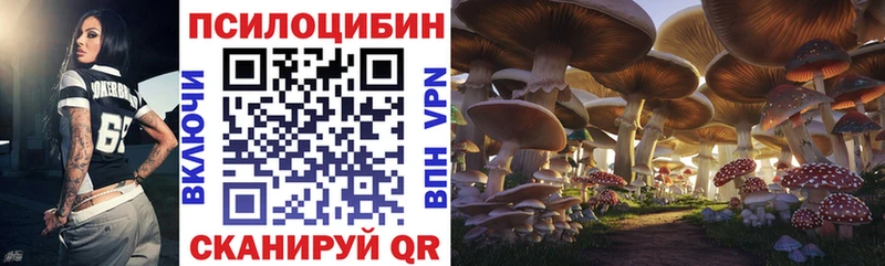 даркнет сайт сайты даркнета Telegram Галлюциногенные грибы мицелий Великий Устюг